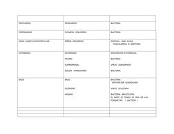 PERICARDIO
PERICARDIO
BACTERIA
CORONARIAS
PULMON   IZQUIERDO
BACTERIA
SENO  AURICULOVENTRICULAR
RIÑON  IZQUIERDO
ESPECIAL   A