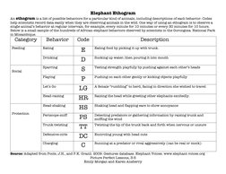 Elephant Ethogram 
An ethogram is a list of possible behaviors for a particular kind of animals, including descriptions of ea