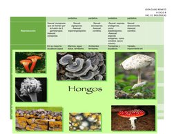 LEON CASAS RENATO
III CICLO B
FAC. CC. BIOLÓGICAS
parásitos.
parásitos.
parásitos.
parásitos.
Reproducción
Sexual: zoosporas