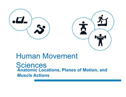 Human Movement 
Sciences 
Anatomic Locations, Planes of Motion, and 
Muscle Actions 
