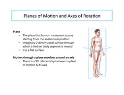 Planes	  of	  Mo-on	  and	  Axes	  of	  Rota-on	  
Plane	  
•  The	  place	  that	  human	  movement	  occurs