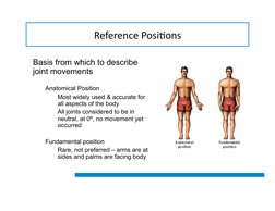 Reference	  Posi-ons	  
Basis from which to describe 
joint movements 
Anatomical Position 
Most widely used & accurate for