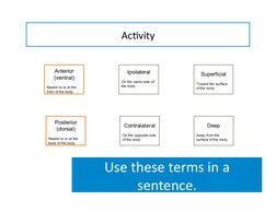 Ac-vity	  
Use	  these	  terms	  in	  a	  
sentence.	  
Anterior 
(ventral) 
Nearer to or at the 
front of the body 
P