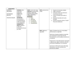 DEFINITORIAS
BARANDAS 
INESTABLES 
MOVIMIENOS 
BRUSCOS 
FASCIAS DE DOLOR 
DOMINIO: 0011 
seguridad / 
protección
CLASE: 0001