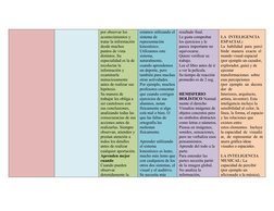 por observar los 
acontecimientos y 
tratar la información 
desde muchos 
puntos de vista 
distintos. Su 
especialidad es la