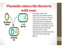 Plasmids enters the Bacteria 
with ease.
• Plasmids enter the 
bacterial cell with relative 
ease. This occurs in nature 
and