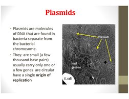 Plasmids
• Plasmids are molecules 
of DNA that are found in 
bacteria separate from 
the bacterial 
chromosome. 
• They: are