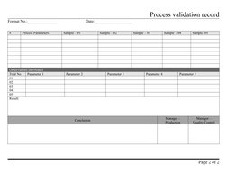 Process Validation Record Template | PDF