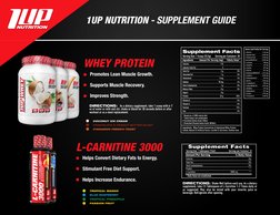 l carnitine 1 up nutrition 1UP Supplement Guide (10 Pages) PDF | PDF | Dietary Supplements B12 | Spectrum Mum Color:Petal New Arrival (Supplements)