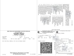 (https://dmv.ny.gov/) (https://dmv.ny.gov/)NYS Department of Motor Vehicles
NYS Department of Motor Vehicles
NEW YORK STATE