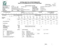 Calculo Extemporaneo al:
13/08/2021
V 3.6.1
B74-19001-10-4
SISTEMA ÚNICO DE AUTODETERMINACIÓN
CÉDULA DE DETERMINACIÓN DE CUOT