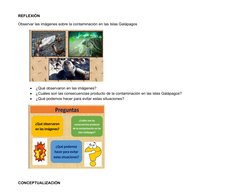 REFLEXIÓN
Observar las imágenes sobre la contaminación en las Islas Galápagos
           

¿Qué observaron en las imágenes?