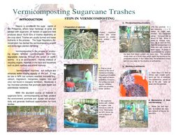 Vermicomposting Sugarcane Trashes Guide | PDF | Compost | Manure