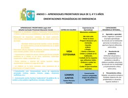 1 
 
                           
 ANEXO I – APRENDIZAJES PRIORITAROS SALA DE 3, 4 Y 5 AÑOS 
ORIENTACIONES PEDAGÓGICAS DE EMER