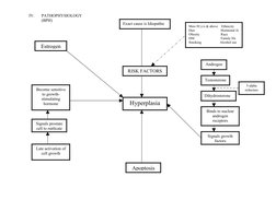 IV.  
PATHOPHYSIOLOGY
(BPH)
Hyperplasia
RISK FACTORS
Androgen
Testosterone
Dihydrosterone
Binds to nuclear 
androgen 
recepto