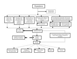 LUTS
Hyperplasia
Narrows the 
lumen of the 
segment of the 
prostate
Encroaches upon 
the bladder neck 
reducing the ability