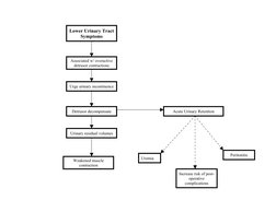 Lower Urinary Tract 
Symptoms
Associated w/ overactive 
detrusor contractions
Urge urinary incontinence
Detrusor decompensate