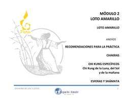 CHI KUNG DE LOS 7 LOTOS 
2 
 
 
MÓDULO 2 
LOTO AMARILLO 
 
 
LOTO AMARILLO 
 
 
 
ANEXOS 
     
RECOMENDACIONES PARA LA P