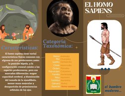 el hombre
moderno...
EL HOMO 
SAPIENS
Características:
El homo sapiens tiene varias
características físicas comunes con
algun