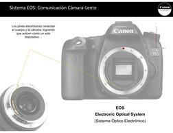 Los pines electrónicos conectan
el cuerpo y la cámara, logrando
que actúen como un solo 
dispositivo…
EOS
Electronic Optical