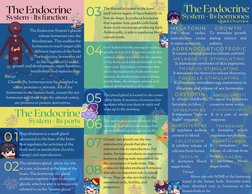 The Endocrine System's glands
release hormones into the
bloodstream. This enables the
hormones to reach target cells
in diffe