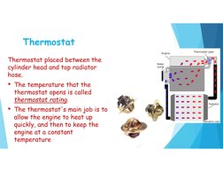 Thermostat
Thermostat placed between the  
cylinder head and top radiator 
hose.
• The temperature that the 
thermostat opens