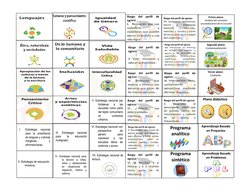 I.
Estrategia
nacional
para la enseñanza
de lenguas y culturas
indígenas
y
afromexicanas.
II. Estrategia de educación
inclusi