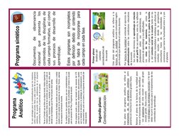 Programa sintético
Programa 
Analítico
Documento
de
observancia
nacional
que
presenta
los
contenidos de las disciplinas de
ca