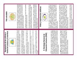 Vida saludable
Este eje articulador supone una formación progresiva, que permita
a las y los estudiantes comprender el entram