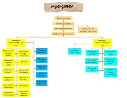 Dirección general  
Subdirección medica  
Jefe servicio 
urgencias 
adultos  
Jefe servicio de 
consulta 
externa  
Supervi