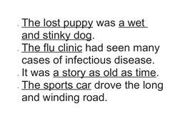 The lost puppy
 
  was a wet 
and stinky dog.
The flu clinic
 
  had seen many 
cases of infectious disease.
It was a stor