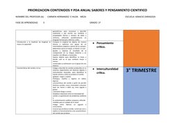 PRIORIZACION CONTENIDOS Y PDA ANUAL SABERES Y PENSAMIENTO CIENTIFICO
NOMBRE DEL PROFESOR (A):      CARMEN HERNANDEZ  E HILDA
