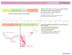 ICT One Trade Setup for Life Guide | PDF | Market Liquidity | Market Trend