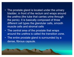 V  	

	 
*"		" !$
	
   