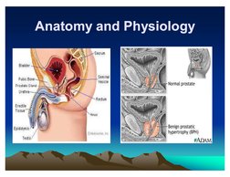 4	

4	

