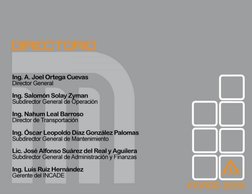  
Sistema de Transporte Colectivo
INCADE 
 | 
 
2 
metro.df.gob.mx 
MANUAL ACCESS 2010 
 
 
