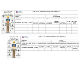 Check List EPP para Trabajadores en Planta | PDF