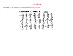 TAE GUKS
TAEGUK IL YANG - Significa "GUON" que representa el Principio de Universo.
