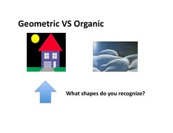 Geometric	  VS	  Organic	  
What	  shapes	  do	  you	  recognize?	  
