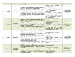 dermatología. 
6 
Canela 
Cinnamomun 
verum 
Resfriados: La infusión de la corteza de la canela sirve 
para tratar los resfri