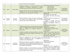 abscesos, furúnculos y quemaduras. 
19 
Laurel 
Laurus nobilis 
Problemas digestivos:  La infusión de hojas de laurel 
estabi