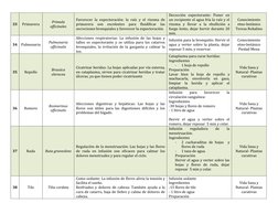 33 
Primavera 
Primula 
officinales 
Favorecer la expectoración: la raíz y el rizoma de 
primavera 
son 
excelentes 
para 
fl