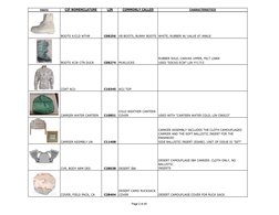 Army CIF Gear List and LIN Codes | PDF | Military Personal Equipment ...