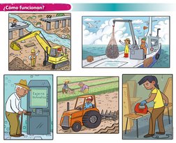 ¿Cómo funcionan?
