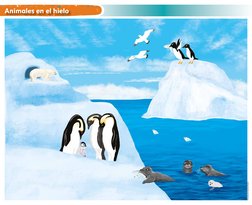 Animales en el hielo

