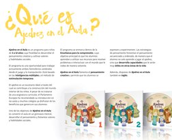 El programa se enmarca dentro de la 
Enseñanza para la comprensión, cuyo 
objetivo principal es que los alumnos 
aprendan a u