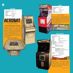 The ARCADE VIDEO-GAME 