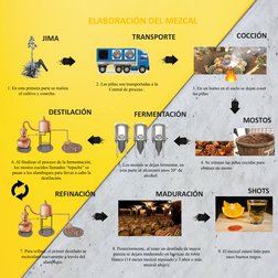 JIMA
TRANSPORTE
COCCIÓN
MOSTOS
FERMENTACIÓN
DESTILACIÓN
REFINACIÓN
MADURACIÓN
SHOTS
1. En esta primera parte se realiza 
el c