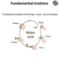 Fundamental motions 
 
 
 
 
 
 
 
 
 
 
