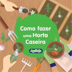 Como fazer
uma Horta
Caseira

